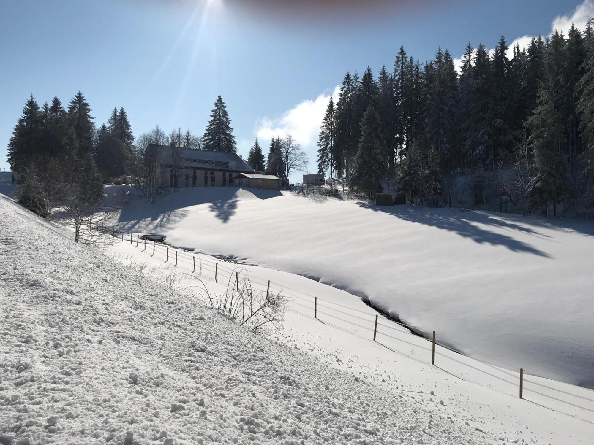 Waldhotel Auerhahn "Hochkopfhaus" ทอดท์เนา ภายนอก รูปภาพ