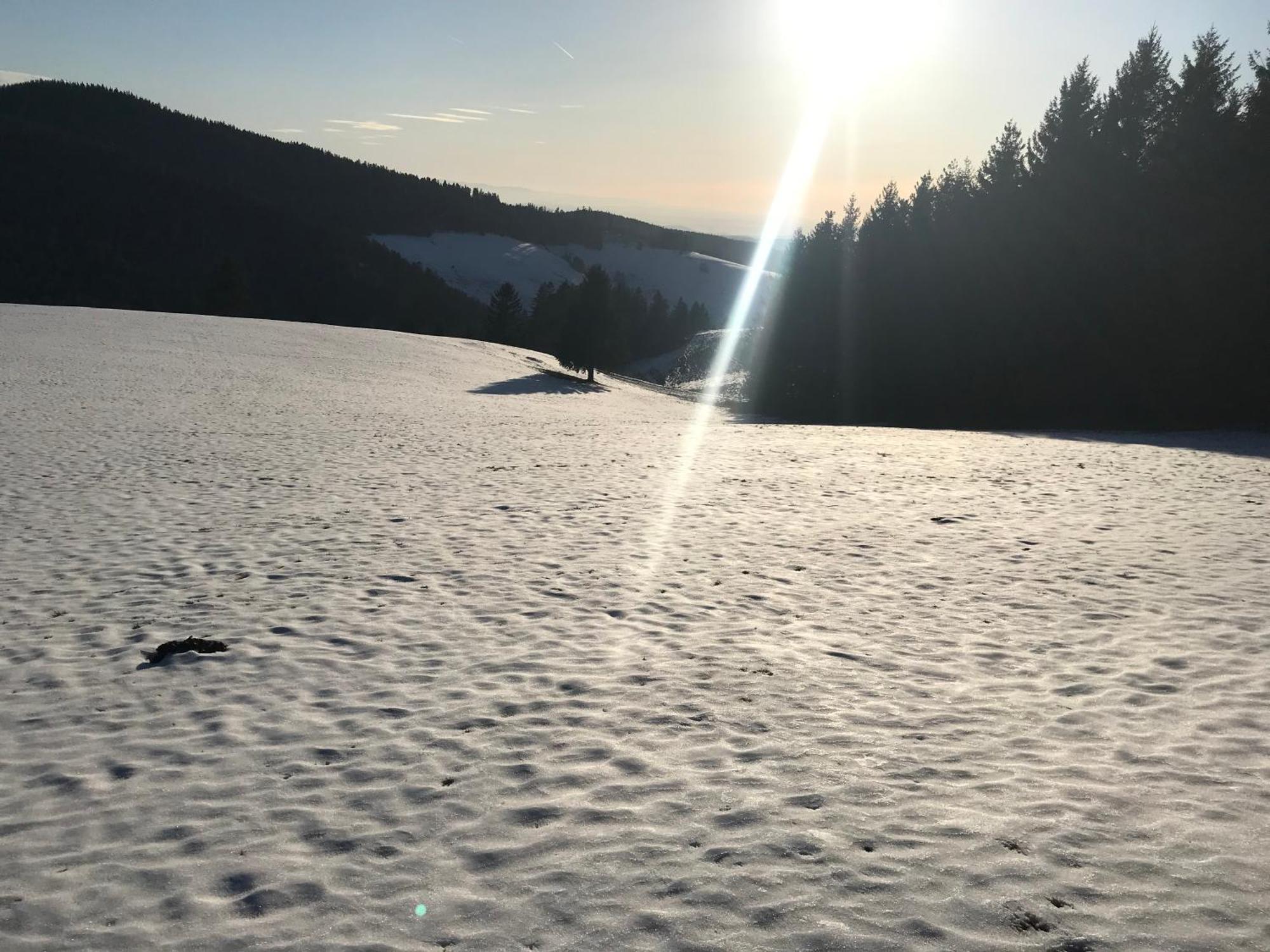 Waldhotel Auerhahn "Hochkopfhaus" ทอดท์เนา ภายนอก รูปภาพ