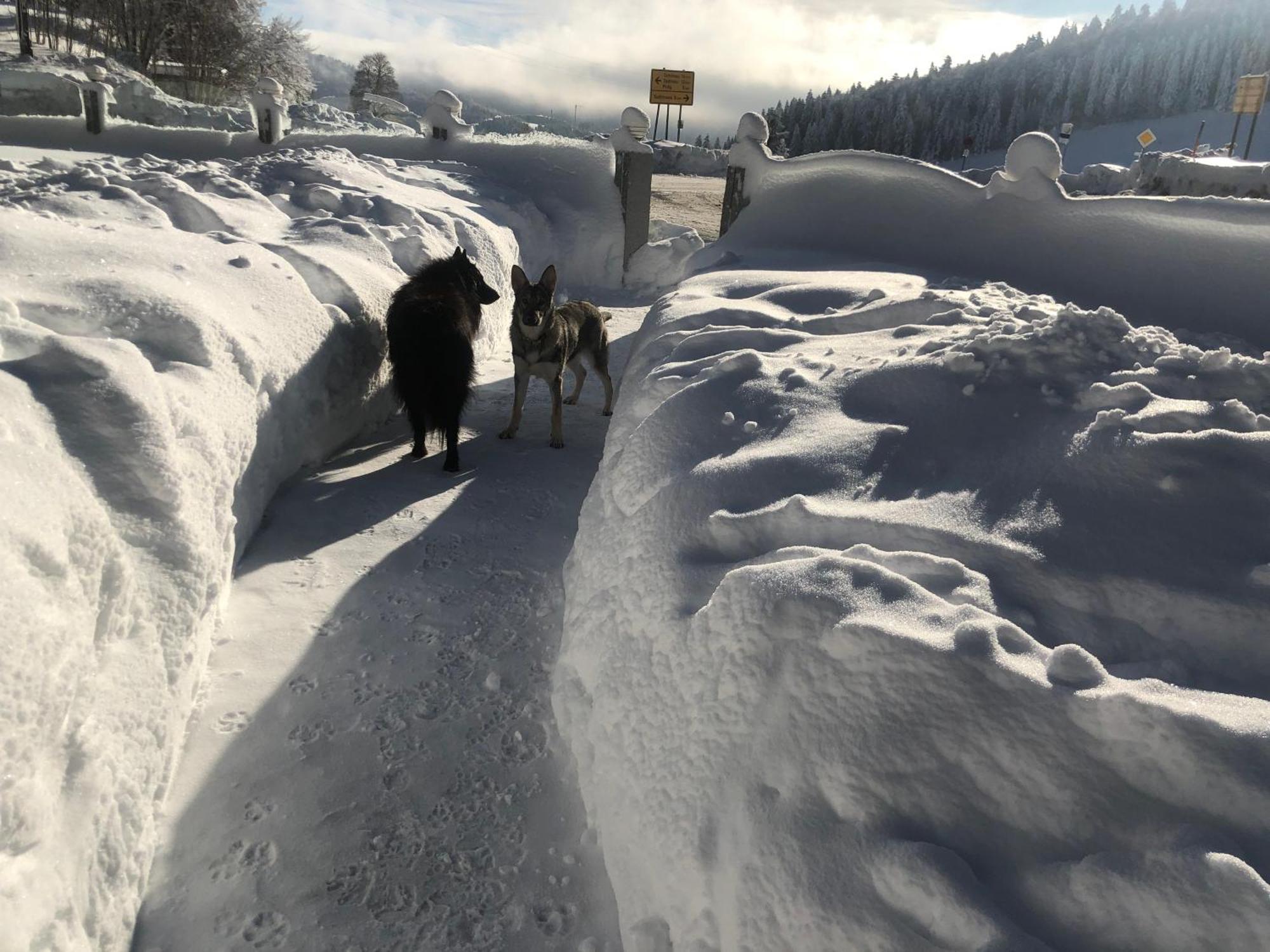 Waldhotel Auerhahn "Hochkopfhaus" ทอดท์เนา ภายนอก รูปภาพ